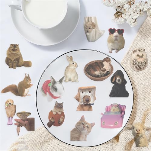 50Pieces Cat Dog Meme Stickers, Funny Animal Transparent PET Sticker Self-Adhesive Scrapbooking Stickers Supplies Journal Stocking Stuffers for Kid Adult Card Making Letters DIY (CDMEME-PET) - color: Cdmeme-pet