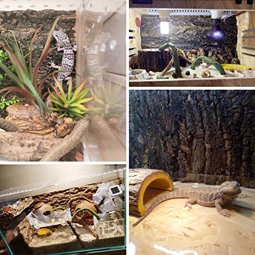 Fhiny 2 PCS Cork Bark Background, 11.6" x 7.7" Natural Reptile Terrarium Backdrop, Reptile Climbing Wall Decor for Bearded Dragon, Gecko, Chameleon, Snake