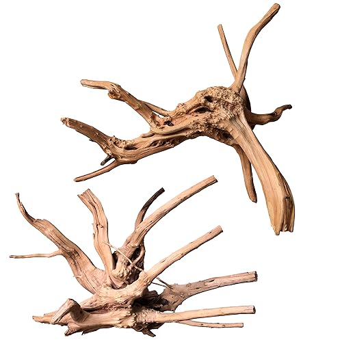 Natural Large Driftwood for Aquarium Decor Fish Tank Decor Reptile Decor | Assorted Driftwood Branch, Natural Driftwood for Aquascaping and Reptile Decor - size: Spiderwood 11 to 14 Inch(Pack of 2)