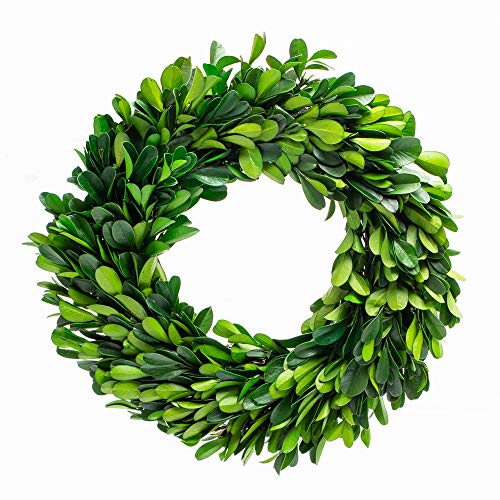 Richland Preserved Boxwood Wreath 8” Home Wedding Seasonal Decor Set of 12 - color: Green, size: 8'' (Set 12)