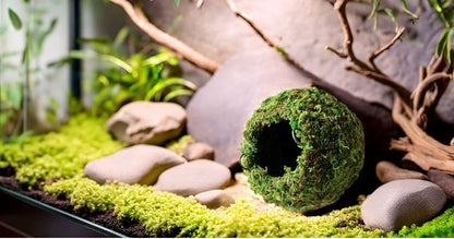 Galápagos (05346) Mossy Cave Hide, 4", Green - size: 4"