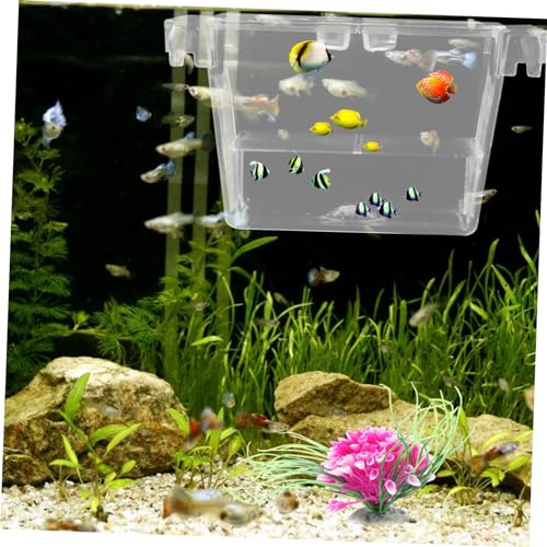 Fish Isolation Box for Betta Fine Mesh Breeding Incubator with Durable for Fish Shrimp and Newborns Easy Attachment to Aquariums