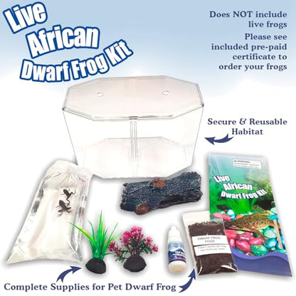 African Dwarf Frog Starter Kit with Certificate for 2 Live Frogs, Aquarium