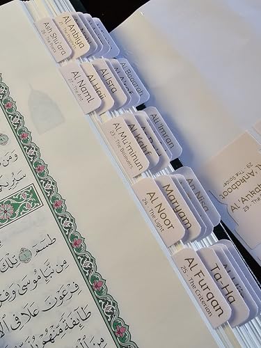 Al Bayan Quran Tabs - 114 Surah + 6 Blank +30 Juz Tabs - Premium Vinyl with Gold Foil Lettering - Laminated Quran Indexing System with Alignment Guide (Pastels - English) - color: Pastels - English