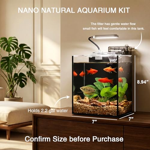 2.2 Gallon Betta Fish Tank, Small Aquarium Kit,Glass Small Fish Tank,Betta Fish Tank with a lid and Light and Filter, Small Transparent Glass Fish Tank with Light and Filter(Black Glass Background) - size: 2.2 Gallon