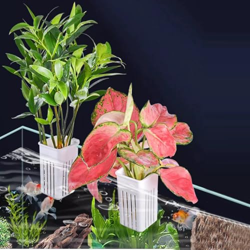 4 PCS Aquarium Plant Holder, Hanging Aquatic Planted Pot, White Hydroponic Plants Cups Aquaponic Basket, Aquascape Accessories Decorations, 1.97 x 1.77 x 3.74 Inch