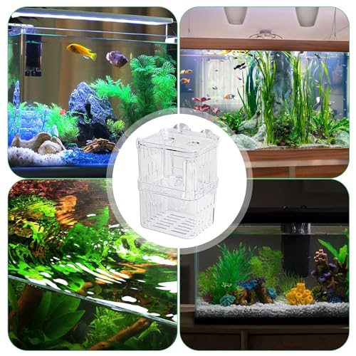 1/2 Fish Acclimation Box - Acrylic Hatchery Incubator Tank, Fish Breeder Box with 2 Suction Cups | Easily Install Breeding Isolation Box, Floating Breeding Box for Baby Fishes Shrimp Betta Guppy - size: Medium