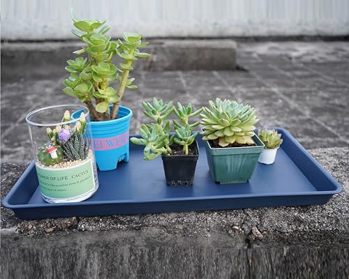 VUWEZ Rectangle Plant Tray, Plant Drip Tray, Plant Pot Saucers, Plant Germination Trays, Plant Saucers, 11'' x 9'' x 1.2'' (2 pack), Blue - color: Blue, size: 11'' x 9'' x 1.2'' (2 pack)