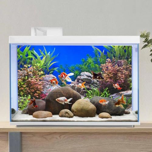 AWERT 36x24 inches Aquatic Plant Fish Tank Background Stone River Bed & Lake Aquarium Background Vinyl | AWERT River Bed & Lake Vinyl Terrarium Background - size: 36x24in/90x60cm