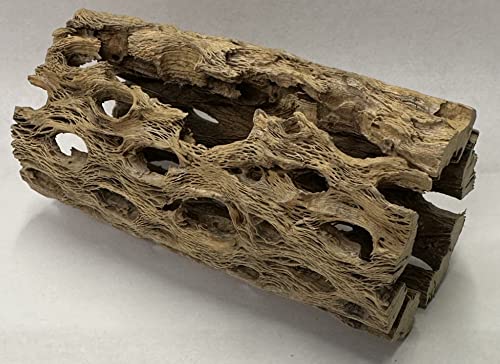 Natural Cholla Wood Chunk Air Plant Display Holders Individually Unique Decorative Stands Holder (Cholla Chunk) - style: Cholla Chunk