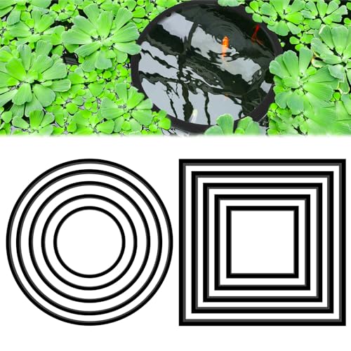 10 PCS Betta Feeding Ring Set, 5 Sizes Round & Square Aquarium Floating Plant Barrier, Fish Feeding Rings for Freshwater & Saltwater Tank, Fish Tank Decor Accessories