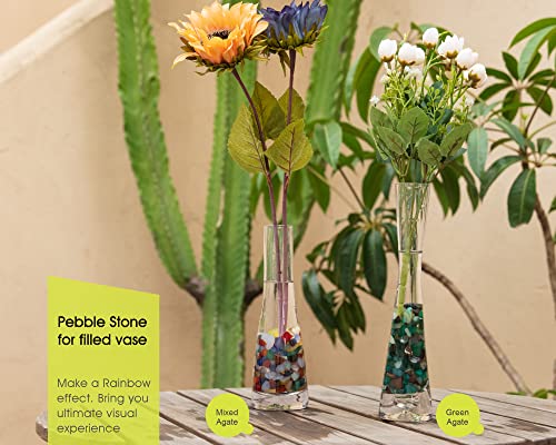 RIFNY Decorative Polished Rocks, 0.3" Gravel Rocks Crushed Crystal for Plant Flower Pots Succulents Cactus Bamboo Plant Vase Filler Aquarium Fish Tank Decorations and DIY Craft (1.5 LB, Green) | for Plant Flower Pots Succulents Cactus Plant Vase Filler Aq