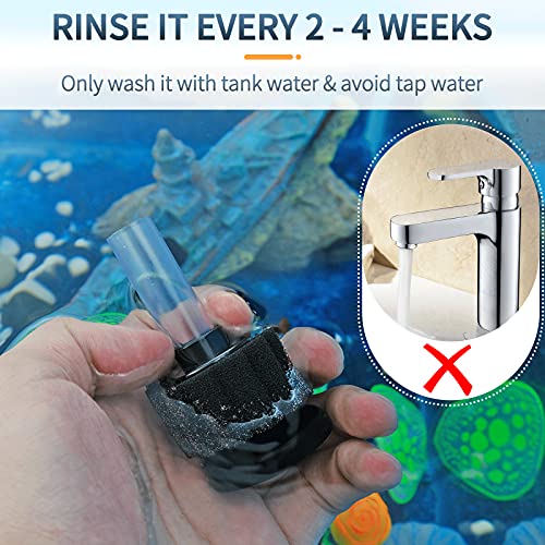 Pawfly Aquarium Nano Bio Sponge Filter Quiet Betta Fry Shrimp Foam Filter Kit with Airline Tubing for Small Fish Tank up to 3 Gallon, 3 Pack
