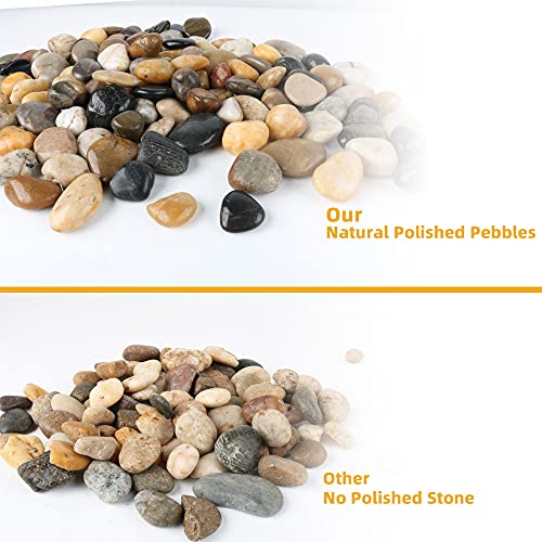 45lb Polished Pebbles for Plants Potting,Succulents Aquarium Fish Tank Vases-Decorative River Rocks Garden Gravel Stones - size: 45LB, style: Colour