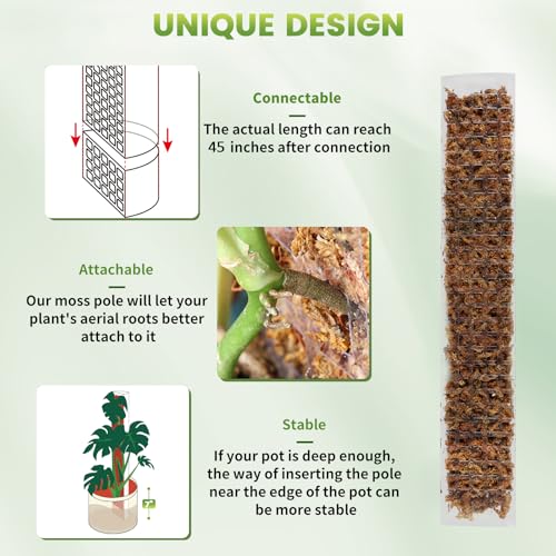 EOX 8 Pcs 24 Inch Plastic Moss Pole for Monstera, Large D Shaped Poles for Climbing Plants Work with Sphagnum Moss, Garden Ties - size: 8 PACK-24Inch-no moss included