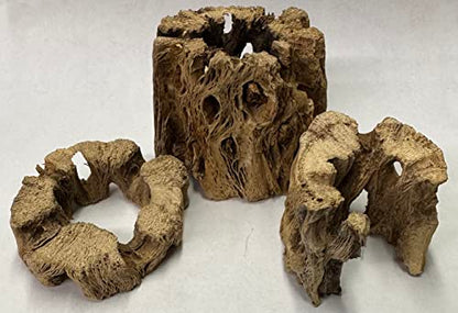 3 Natural Cholla Wood Air Plant Display Holders Individually Unique Round Decorative Stands (3 Pack Cholla Rounds) - style: 3 Pack Cholla Rounds