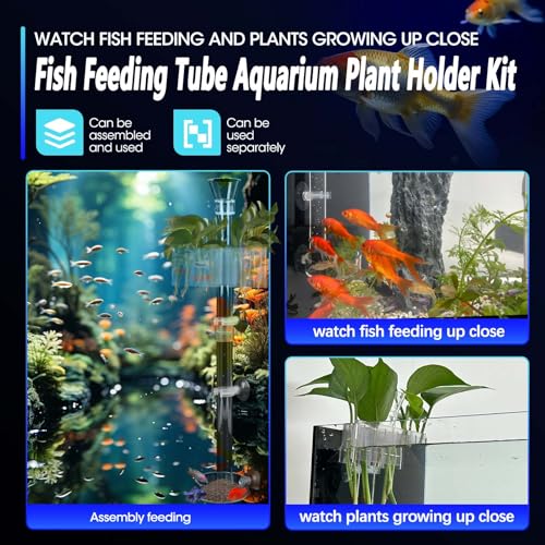 Aquarium Plant Holder Fish Feeding Tube Kit，Plant Holder for Aquarium，Fish Tank Feeder，Removable Adjustable Length Fish Feeder Tube，Fish Tank Plant Holder for Water Feature Decoration (2)