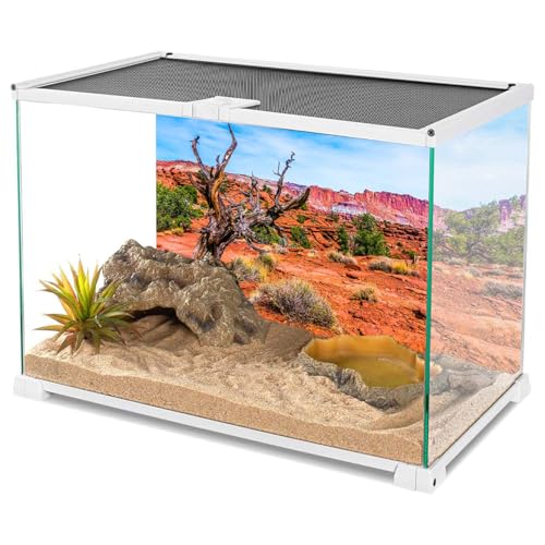 48x20 in Reptile Habitat Backdrop Blue Sky Oasis Desert Terrarium Backdrop - size: 48x20in/120x50cm