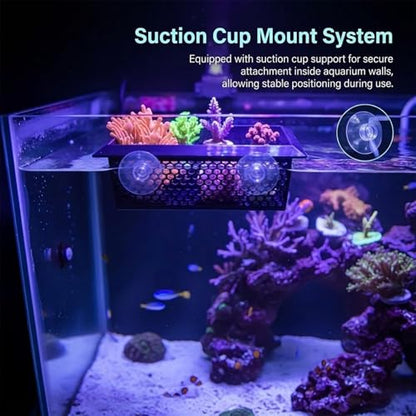 Floating Coral Basket for Reef Tanks (4x6 inch), Anemone and Frag Isolator Cup Mount, Saltwater Aquarium Safe