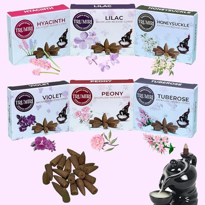 Blossom - Backflow Incense Cones for Waterfall - Scented Inscents-Cones - Peony, Lilac, Hyacinth, Tuberose, Honeysuckle, Violet - Insiensos Aromaticos - 6x10=60 Large Variety Pack - color: Blossom