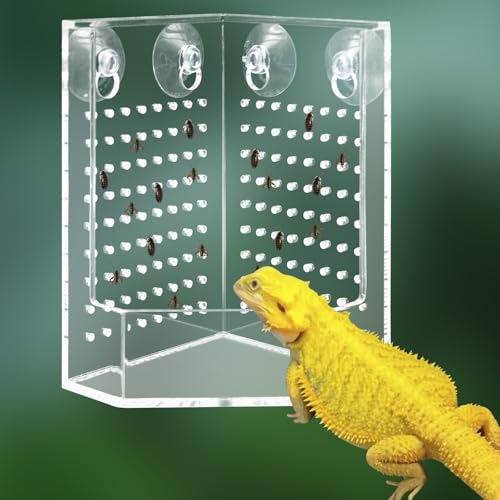 Bearded Dragon Tank Accessories, Transparent Acrylic Corner Hunting Bowl with Suction Cups, Bearded Dragon Food Bowl, Chameleon Feeder, Food Dispenser for Bearded Dragon, Chameleon, Frog