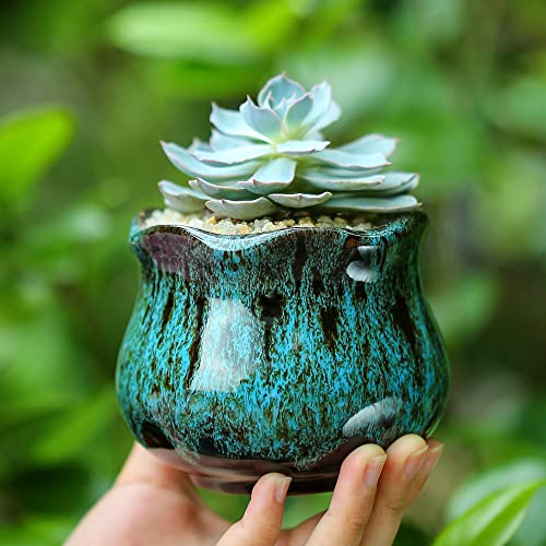 Cute Ceramic Succulent Planters, Garden Pots with Drainage and Attached Saucer, Set of 6 - Plants Not Included