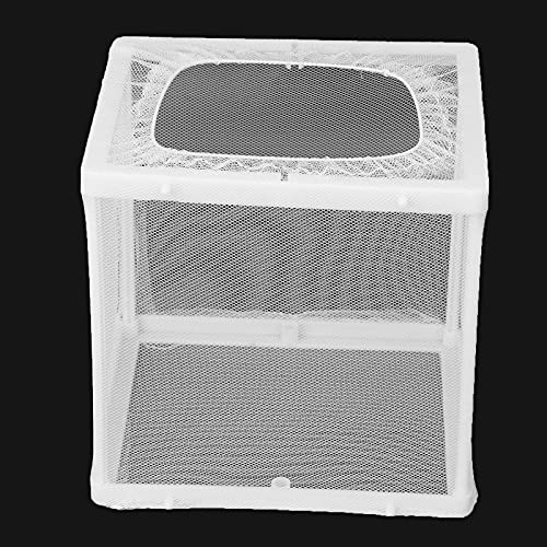 Aquarium Fish Breeder Box Isolation Hatchery with Detachable Frame Locking Feet and Powerful Suction Cup for Fish Fry Hatching Pairing Reproduction and Tank Separation (S)