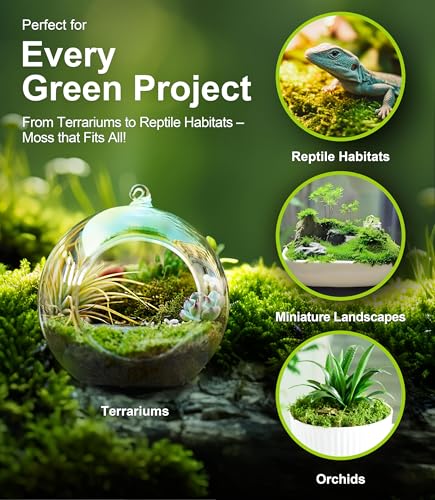 Live Moss 3-Pack for Reptile Enclosures & Terrariums,Fresh Reptiles Substrate | Mixed Varieties, Moisture-Holding Layer, Humid Hide Accent, Forest-Floor Look, Easy to Trim, For Geckos, Turtles, Snakes