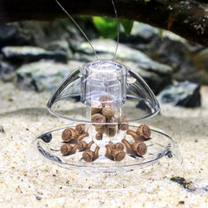 4Pcs Snail Trap 2.36x2.36in Clear White Plastic Aquarium Snail Trap Catch Box for Aquarium Fish Tank Accessories