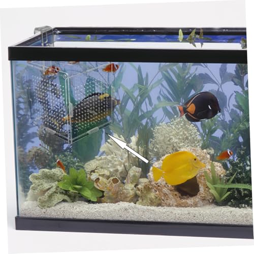 BESPORTBLE 1set Acrylic Fish Isolation Box for Aquariums with Cups and Breeding Box for Newborn Fish Transparent Cover Prevents Escape and Design