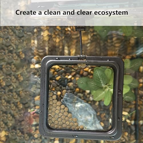 FREESEA Fish Feeding Ring for Aquarium: Square Betta Floating Feeding Ring for Fish Tank - size: Square