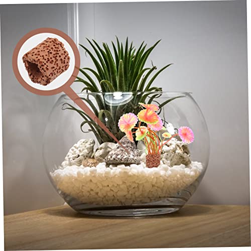 Water Plant Fixed Rings 10 Pack Durable Ceramic Aquarium Plant Holders for Fish Tank Aquatic Anchors Rings for Secure Decoration