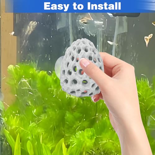 HINGTAI Shrimp Dome Hide Betta Habitat Fish Tank Tunnel with Suction Cup Aquarium Fish Cave Hideout Ornament Accessories for Shrimp Guppy Hiding Resting White - color: White