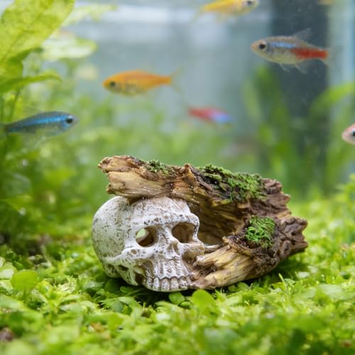 Skull Fish Tank Decor, Resin Aquarium Cave with Realistic Tree Trunk, Hollow Hideout for Betta Fish, Shrimp and Small Fish, Gothic Aquarium Ornament, 5.7 in
