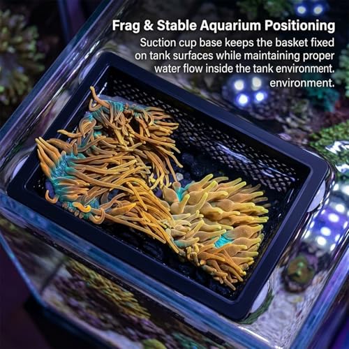 Floating Coral Basket for Reef Tanks (4x6 inch), Anemone and Frag Isolator Cup Mount, Saltwater Aquarium Safe