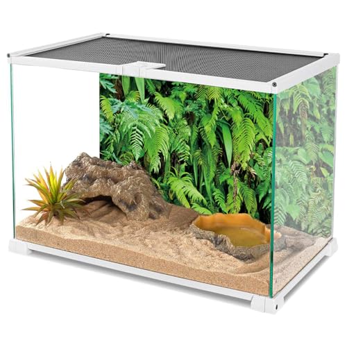 48x18 in Terrarium Backdrop Rainforest Plant Reptile Habitat Background | AWERT Lush Tropical Fern Leaves Vinyl Aquarium Terrarium Background - size: 48x18in/120x45cm