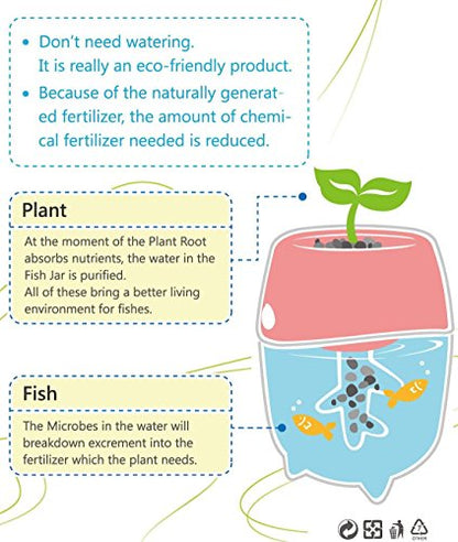 Dr. Moss Aquaponic Fish Tank Aquarium for Betta Fish with Water Garden Planter Top Lid Natural Ecosystem for Plant Growth (Green)