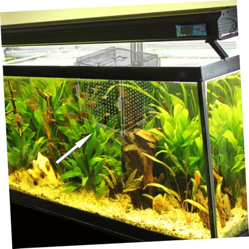 BESPORTBLE 1set Acrylic Fish Isolation Box for Aquariums with Cups and Breeding Box for Newborn Fish Transparent Cover Prevents Escape and Design