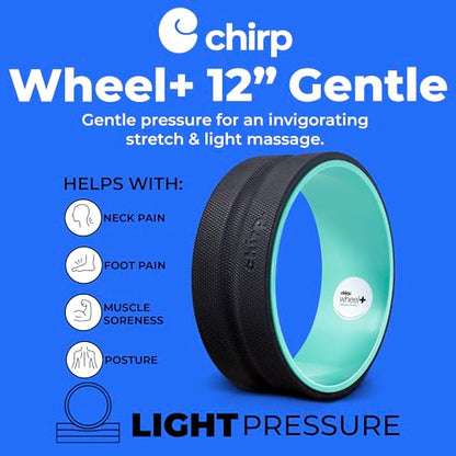 Chirp Wheel+ Foam Roller, Back & Neck Pain Relief, Mint 12-Inch - size: 12" - Gentle