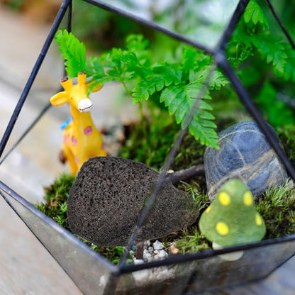 FOMIYES 1 Pack of Natural for Aquariums and Potted Plants, Small Volcanic Stones for Decorative Use, Ideal for Landscaping and Drainage