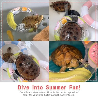 MANON ROSA Real Turtle Toy - Mini Swimming Rings Floating Boat Summer Accessory for Aquarium, Fish Tank, Pool, Habitat Decoration for Fish, Frog, Crab, Shrimp Small Animals