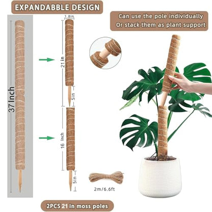 Moss Pole, 2Pack 21 Inch Plant Support Stakes for Indoor Plants, Monstera Plant Support Stakes, 37 Inch Tall Coir Plant Pole Sticks for Potted Plants, Pothos, Philodendron - size: 2pcs x 21 Inches