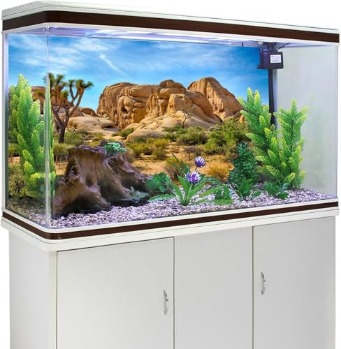 Polyester 5x3ft Joshua Tree National Park Backdrop Arid Barren Cactus Sandstone Rock Climate Mountain and Desert Scenery Backdrop Desert Terrarium Background | Arid Barren Cactus Sandstone Rock Climate Mountain and Desert Scenery Backdrop, Polyester - siz
