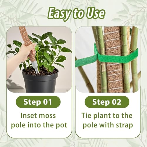 3 Pack Moss Pole, 28" 48" 63" Monstera Plant Support for Climbing Indoor Plants, Bendable Coco Coir Plant Support Stakes for Potted Plants, Pothos, Philodendron - size: 28 Inch, 48 Inch, 63 Inch - 3 Packs