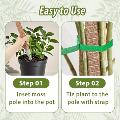 2 Pack Moss Pole, 63 Inch Monstera Plant Support, Moss Poles for Climbing Indoor Plants, Bendable Coco Coir Plant Support Stakes for Potted Plants, Pothos, Philodendron - size: 63"- 2 pack