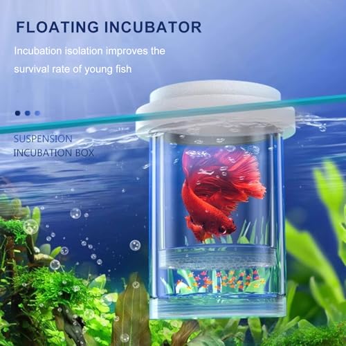3PCS Aquariums Isolation Box for Protecting Fish and Shrimp from Larger Tanks Inhabitant Growth and Breeding Fish Breeding Box - color: Large white suction