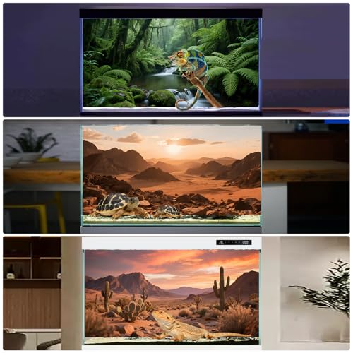 3 Pack Terrarium Background Polyester Reptile Background，Gobi Sunshine Cactus Stone & Green Tree Fern Stream Terrarium (48 inches x 24 inches) - size: 48 x 24 inches