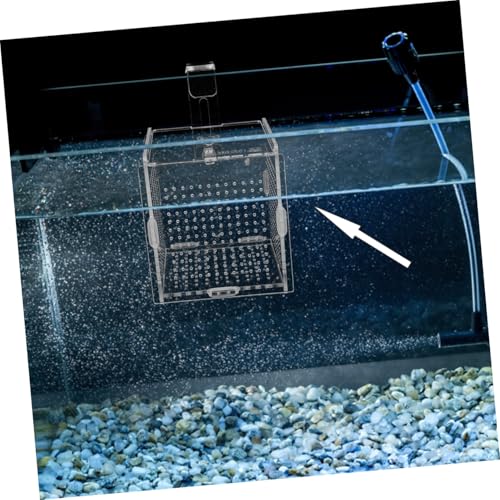 GANAZONO 1set Fish Isolation Box Cups and Hook Acrylic Fish Tank Hatching Incubator for Betta and Shrimp Prevents Design for Easy Feeding and Safe Breeding