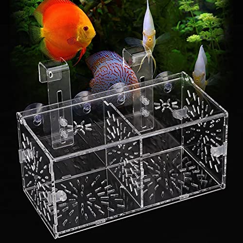 Fish Isolation Box for Aquarium,Fish Breeding Box, Acrylic Transparent Fish Tank for Tank Anemone Aquarium Hatchery Incubator Holder Breeder Quarantine Breeding Isolation Box (20CM*10CM*10CM)