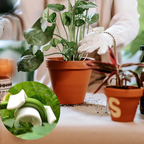 40 Pcs Low Stress Training Clips, 90 Degrees Plant Trainer Bud Plant Bender Plant Training Clips Bud Bender for Plant Gardening - White and Red - color: 40 Pcs White and Red